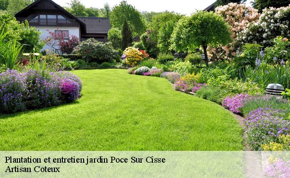 Plantation et entretien jardin poce-sur-cisse-37530 Artisan Coteux