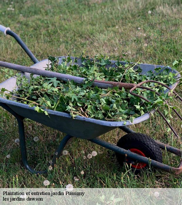 Plantation et entretien jardin  pussigny-37800 les jardins dawson
