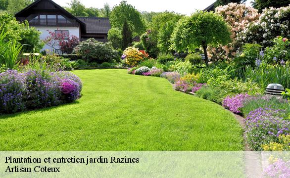 Plantation et entretien jardin razines-37120 Artisan Coteux
