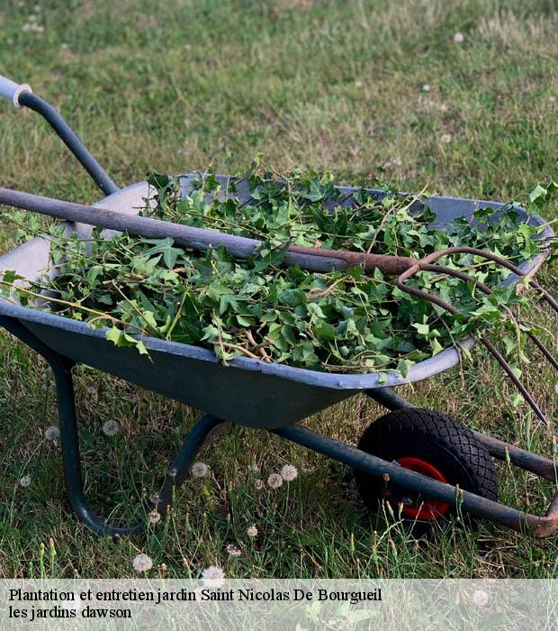 Plantation et entretien jardin  saint-nicolas-de-bourgueil-37140 les jardins dawson