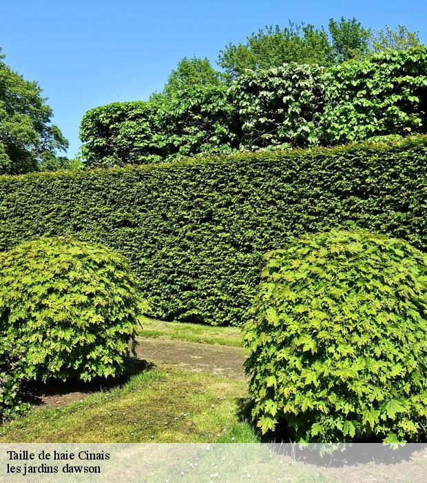 Taille de haie  cinais-37500 les jardins dawson
