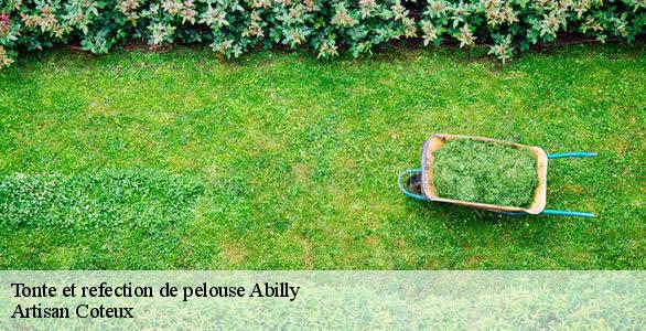 Tonte et refection de pelouse  abilly-37160 Artisan Coteux