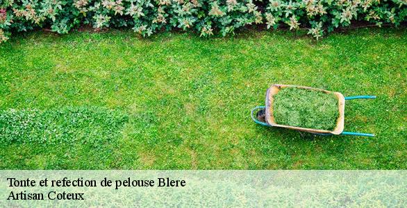 Tonte et refection de pelouse  blere-37150 Artisan Coteux