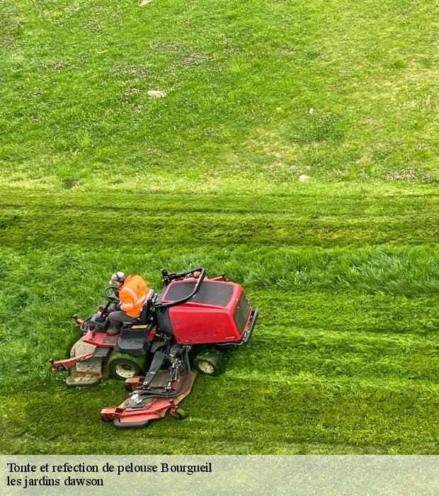 Tonte et refection de pelouse  bourgueil-37140 les jardins dawson