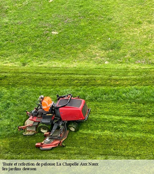 Tonte et refection de pelouse  la-chapelle-aux-naux-37130 les jardins dawson