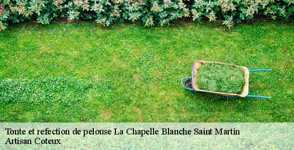 Tonte et refection de pelouse la-chapelle-blanche-saint-martin-37240 Artisan Coteux