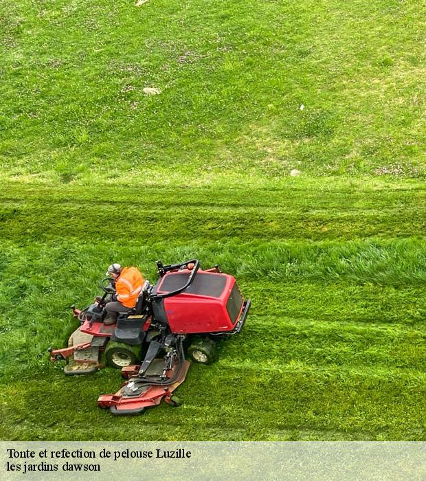 Tonte et refection de pelouse  luzille-37150 les jardins dawson