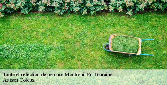 Tonte et refection de pelouse montreuil-en-touraine-37530 Artisan Coteux