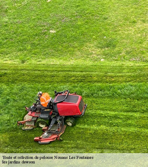 Tonte et refection de pelouse  nouans-les-fontaines-37460 les jardins dawson