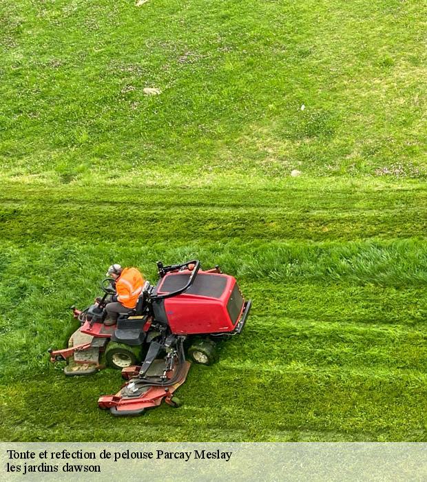 Tonte et refection de pelouse  parcay-meslay-37210 les jardins dawson