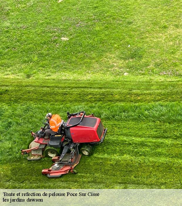 Tonte et refection de pelouse  poce-sur-cisse-37530 les jardins dawson