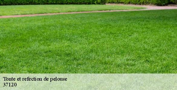Tonte et refection de pelouse 37120