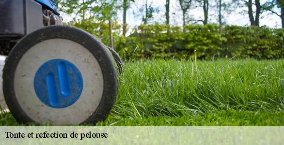 Tonte et refection de pelouse 37120