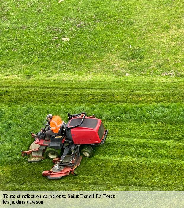 Tonte et refection de pelouse  saint-benoit-la-foret-37500 les jardins dawson