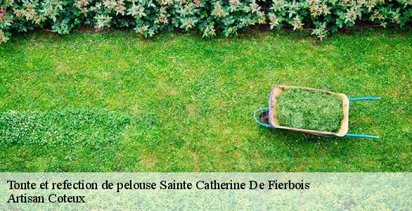Tonte et refection de pelouse sainte-catherine-de-fierbois-37800 Artisan Coteux