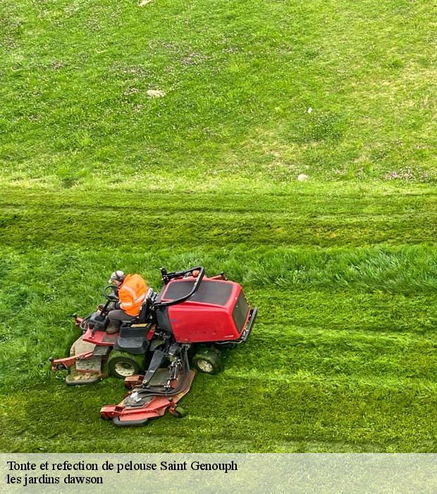 Tonte et refection de pelouse  saint-genouph-37510 les jardins dawson