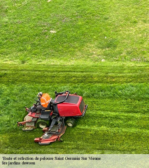 Tonte et refection de pelouse  saint-germain-sur-vienne-37500 les jardins dawson
