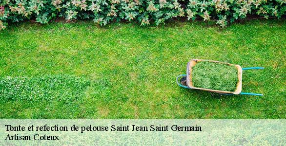 Tonte et refection de pelouse  saint-jean-saint-germain-37600 Artisan Coteux