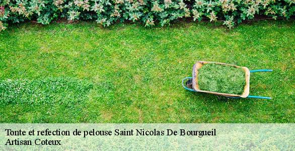 Tonte et refection de pelouse saint-nicolas-de-bourgueil-37140 Artisan Coteux