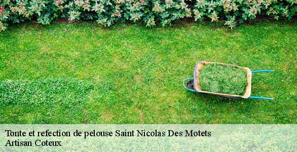 Tonte et refection de pelouse saint-nicolas-des-motets-37110 Artisan Coteux