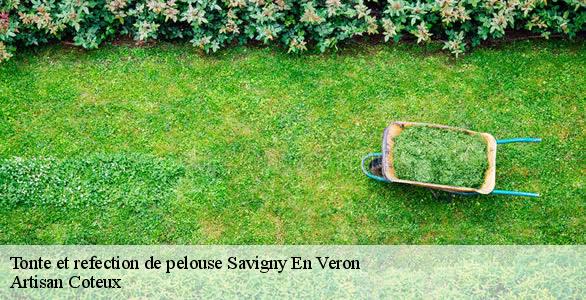 Tonte et refection de pelouse  savigny-en-veron-37420 Artisan Coteux