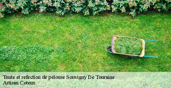 Tonte et refection de pelouse  souvigny-de-touraine-37530 Artisan Coteux